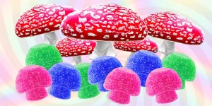 amanita muscaria mushroom gummies